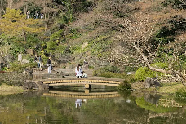 Bridge, Ninomaru garden